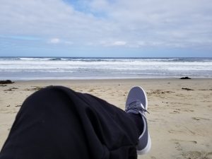 Democrat sitting at beach